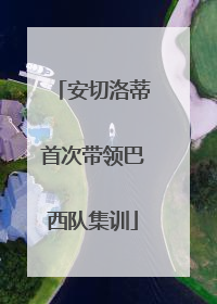 安切洛蒂首次带领巴西队集训