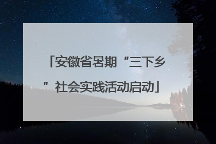 安徽省暑期“三下乡”社会实践活动启动