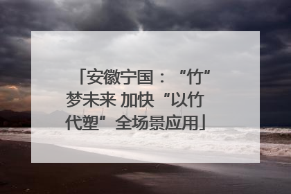 安徽宁国：“竹”梦未来 加快“以竹代塑”全场景应用