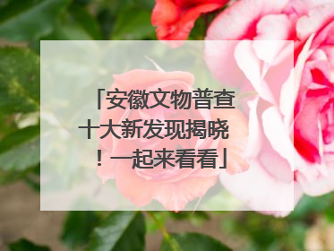 安徽文物普查十大新发现揭晓！一起来看看