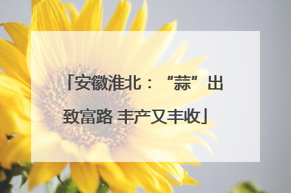 安徽淮北：“蒜”出致富路 丰产又丰收