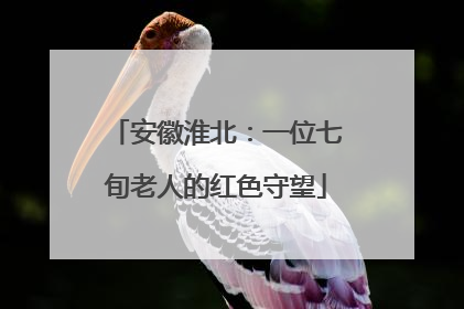 安徽淮北：一位七旬老人的红色守望