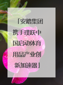 安踏集团携手璞跃中国启动体育用品产业创新加速器