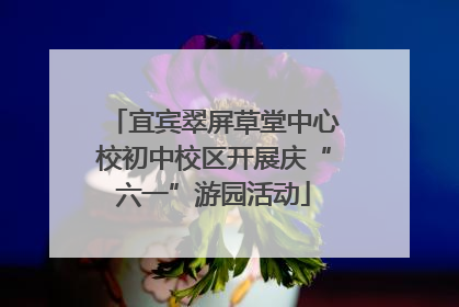 宜宾翠屏草堂中心校初中校区开展庆“六一”游园活动