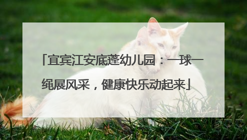 宜宾江安底蓬幼儿园：一球一绳展风采，健康快乐动起来