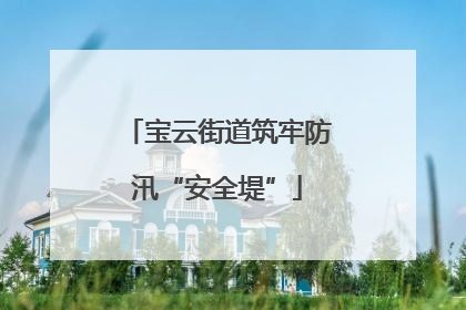 宝云街道筑牢防汛“安全堤”