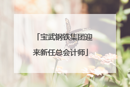 宝武钢铁集团迎来新任总会计师