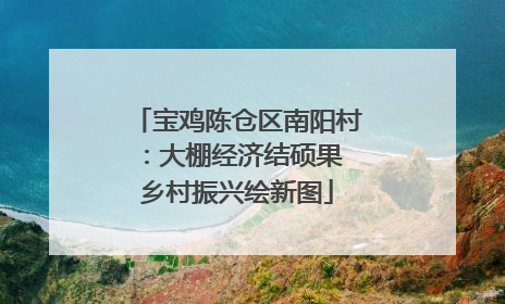 宝鸡陈仓区南阳村：大棚经济结硕果 乡村振兴绘新图