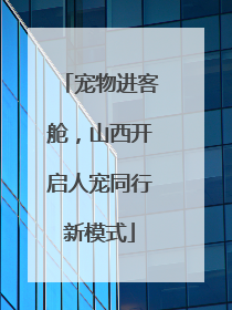 宠物进客舱，山西开启人宠同行新模式