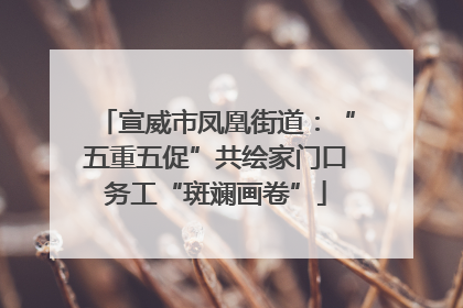 宣威市凤凰街道：“五重五促”共绘家门口务工“斑斓画卷”