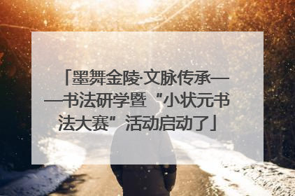 墨舞金陵·文脉传承——书法研学暨“小状元书法大赛”活动启动了