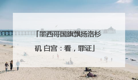 墨西哥国旗飘扬洛杉矶 白宫：看，罪证