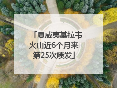 夏威夷基拉韦火山近6个月来第25次喷发