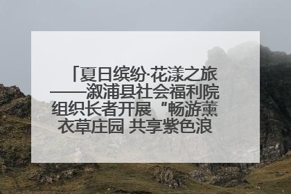夏日缤纷·花漾之旅——溆浦县社会福利院组织长者开展“畅游薰衣草庄园 共享紫色浪漫”户外活动