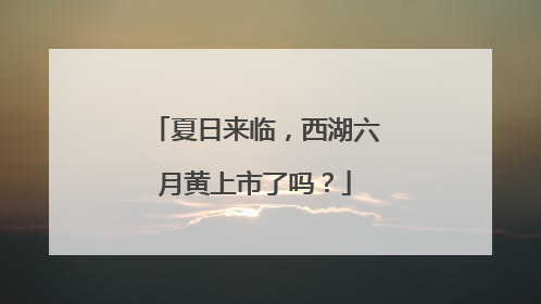 夏日来临，西湖六月黄上市了吗？