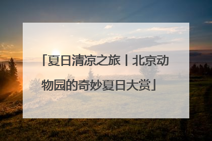 夏日清凉之旅丨北京动物园的奇妙夏日大赏