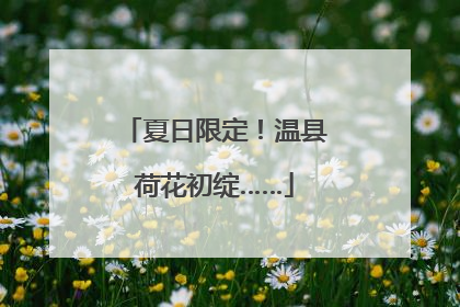 夏日限定！温县荷花初绽……