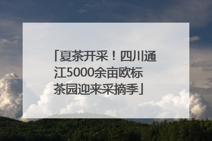 夏茶开采！四川通江5000余亩欧标茶园迎来采摘季