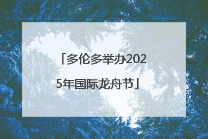 多伦多举办2025年国际龙舟节