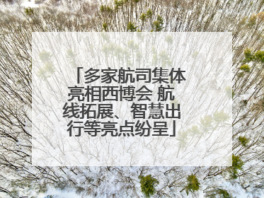 多家航司集体亮相西博会 航线拓展、智慧出行等亮点纷呈