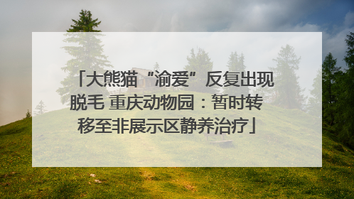 大熊猫“渝爱”反复出现脱毛 重庆动物园：暂时转移至非展示区静养治疗