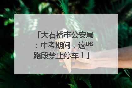 大石桥市公安局：中考期间，这些路段禁止停车！