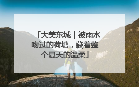 大美东城｜被雨水吻过的荷塘，藏着整个夏天的温柔