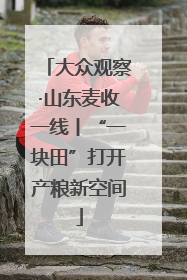 大众观察·山东麦收一线丨“一块田”打开产粮新空间