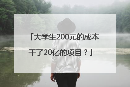 大学生200元的成本干了20亿的项目？