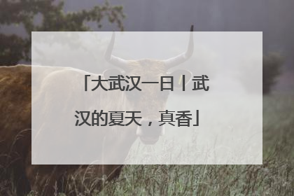 大武汉一日丨武汉的夏天，真香