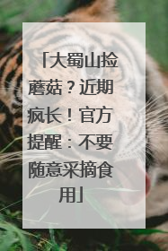 大蜀山捡蘑菇？近期疯长！官方提醒：不要随意采摘食用