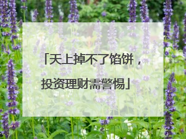 天上掉不了馅饼，投资理财需警惕