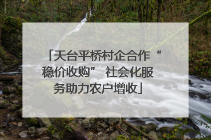 天台平桥村企合作“稳价收购” 社会化服务助力农户增收