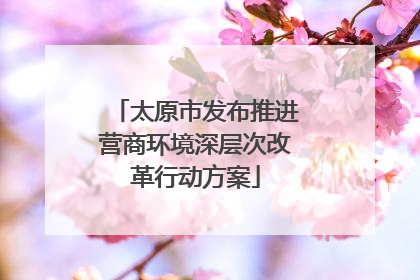 太原市发布推进营商环境深层次改革行动方案