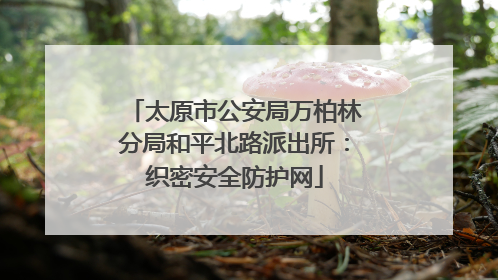 太原市公安局万柏林分局和平北路派出所：织密安全防护网