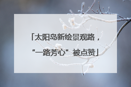 太阳岛新绘景观路，“一路芳心”被点赞