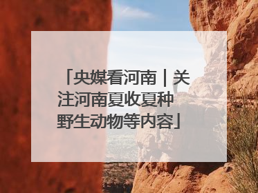 央媒看河南｜关注河南夏收夏种 野生动物等内容