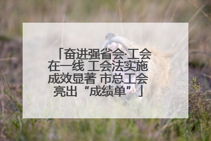 奋进强省会·工会在一线 工会法实施成效显著 市总工会亮出“成绩单”
