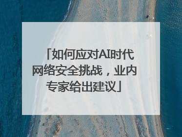 如何应对AI时代网络安全挑战，业内专家给出建议