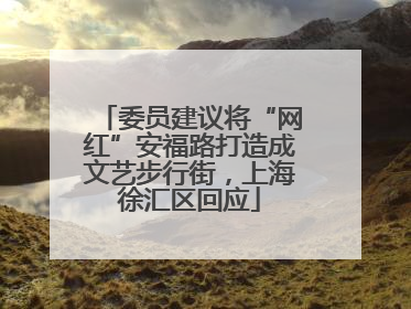 委员建议将“网红”安福路打造成文艺步行街，上海徐汇区回应