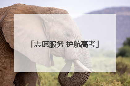 志愿服务 护航高考