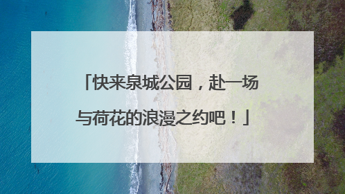 快来泉城公园，赴一场与荷花的浪漫之约吧！