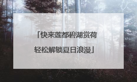快来莲都碧湖赏荷 轻松解锁夏日浪漫