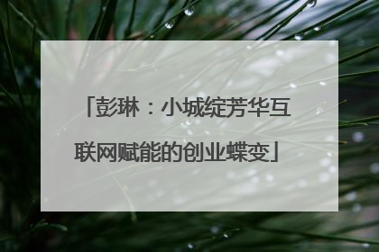彭琳：小城绽芳华互联网赋能的创业蝶变