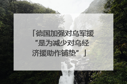 德国加强对乌军援 “是为减少对乌经济援助作铺垫”