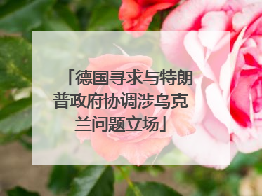德国寻求与特朗普政府协调涉乌克兰问题立场