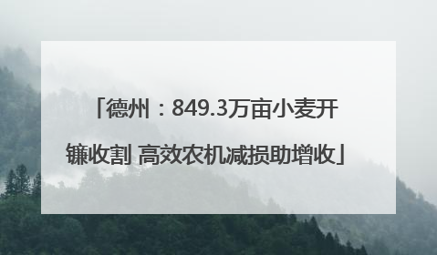 德州：849.3万亩小麦开镰收割 高效农机减损助增收