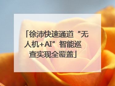 徐沛快速通道“无人机+AI”智能巡查实现全覆盖