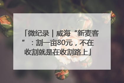 微纪录｜威海“新麦客”：割一亩80元，不在收割就是在收割路上