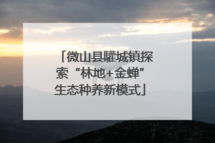 微山县驩城镇探索“林地+金蝉”生态种养新模式
